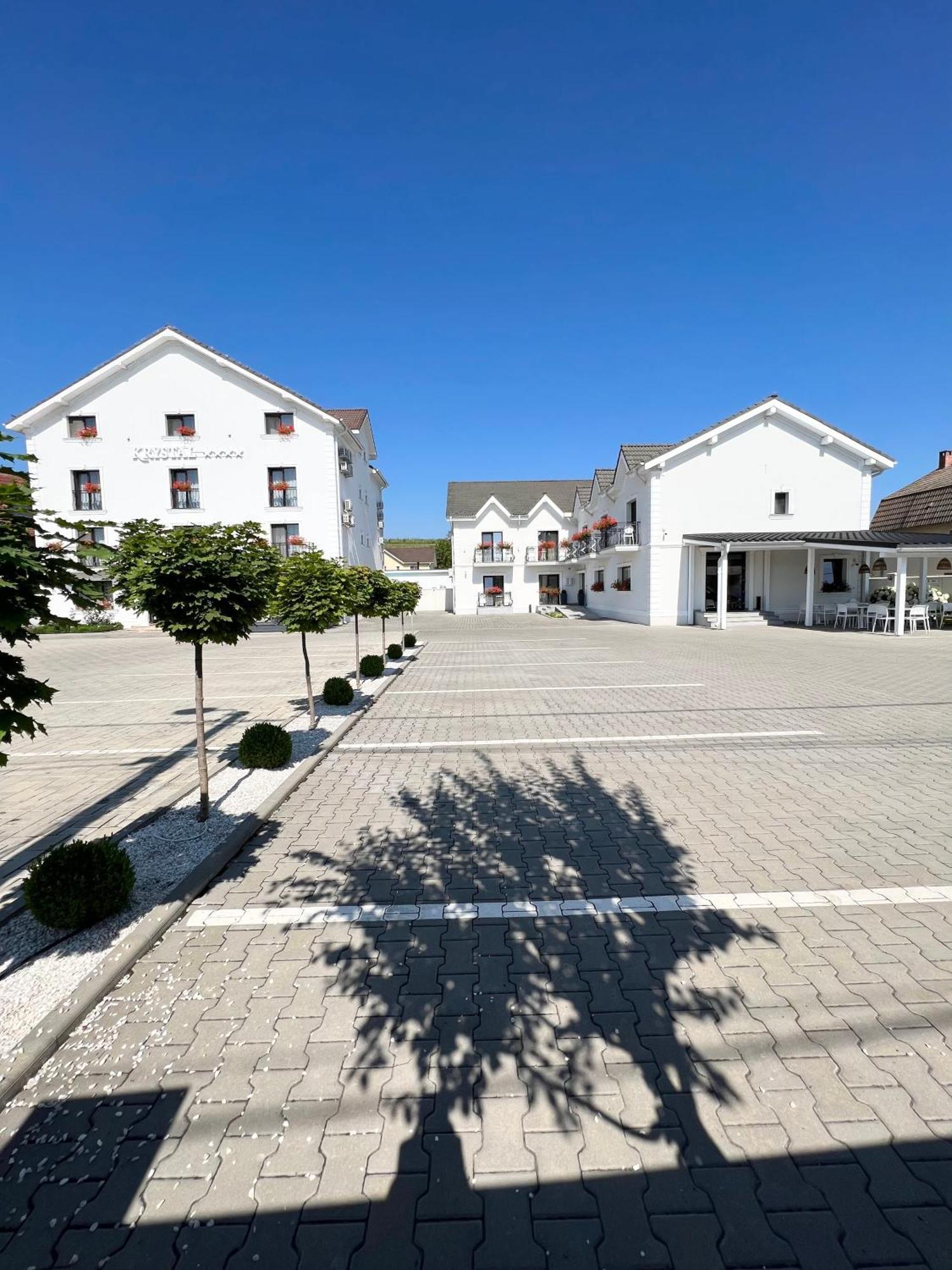 Hotel Krystal Boutique Mansion Hunedoara Exterior foto